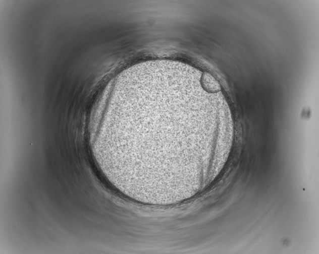 X0000098220018200805221659