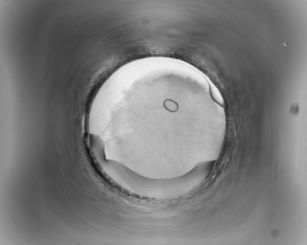 X0000098220019200805221658
