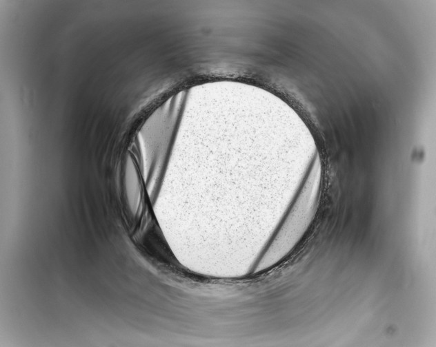 X0000098220020200805221658