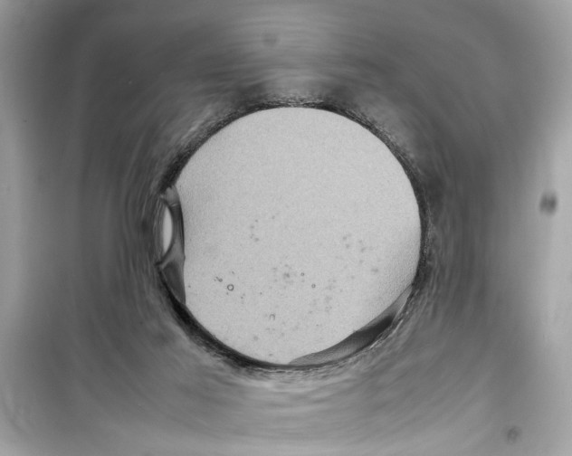 X0000098220021200805221658