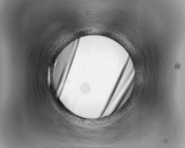 X0000098220022200805221658