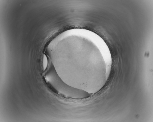X0000098220023200805221658