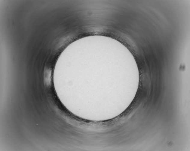 X0000098220024200805221658