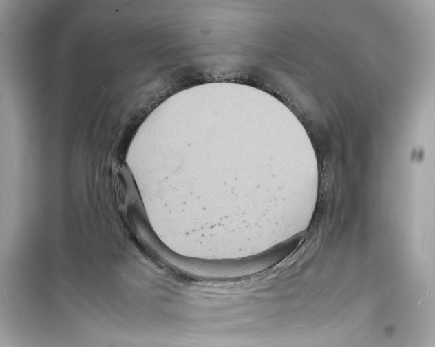 X0000098220025200805221658