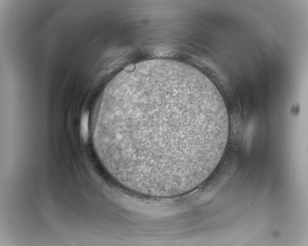 X0000098220028200805221658