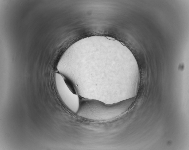 X0000098220029200805221658