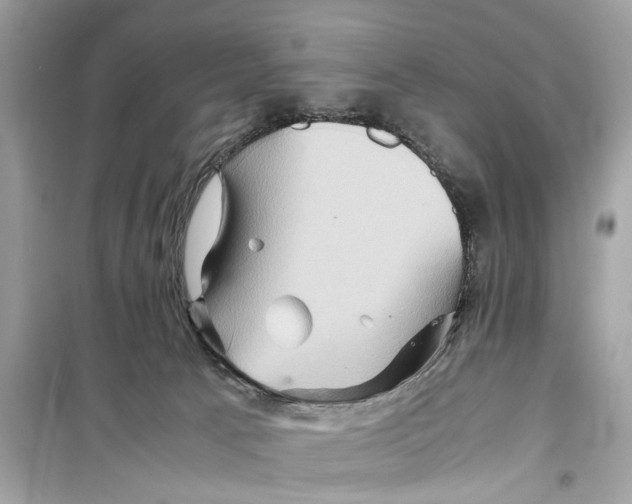 X0000098220033200805221658