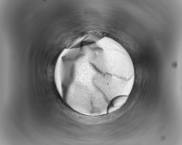 X0000098220034200805221658