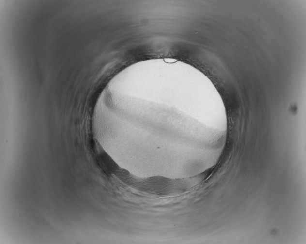 X0000098220035200805221658
