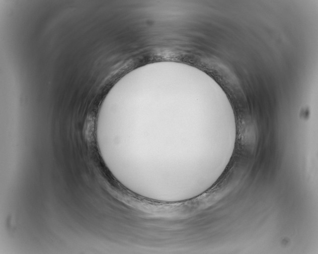 X0000098220036200805221658