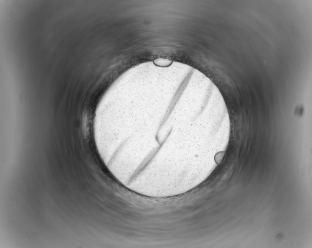 X0000098220038200805221658