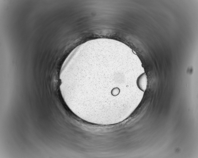 X0000098220040200805221658