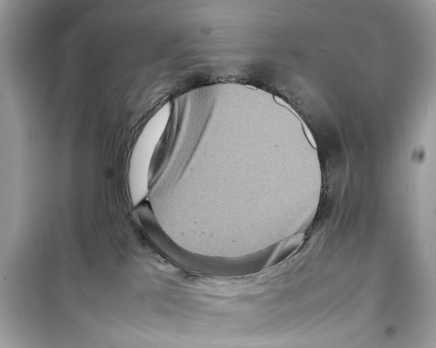 X0000098220041200805221658