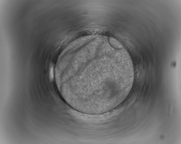 X0000098220042200805221658