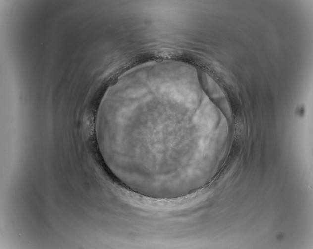 X0000098220043200805221658