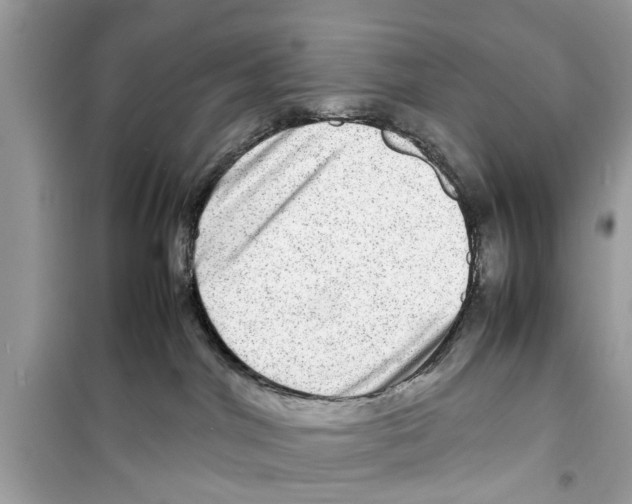 X0000098220044200805221658