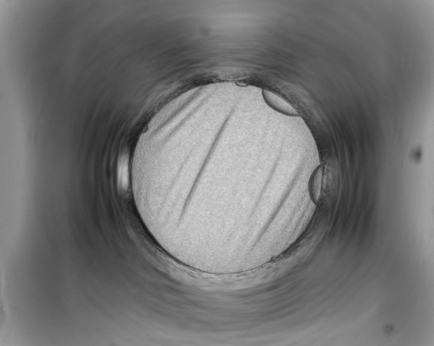 X0000098220046200805221658