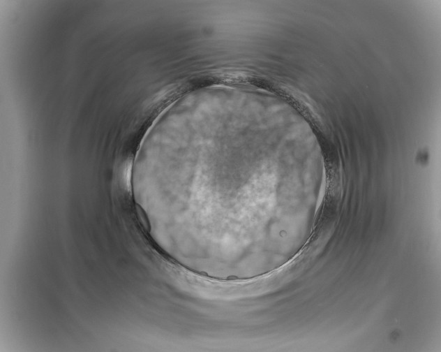 X0000098220047200805221658