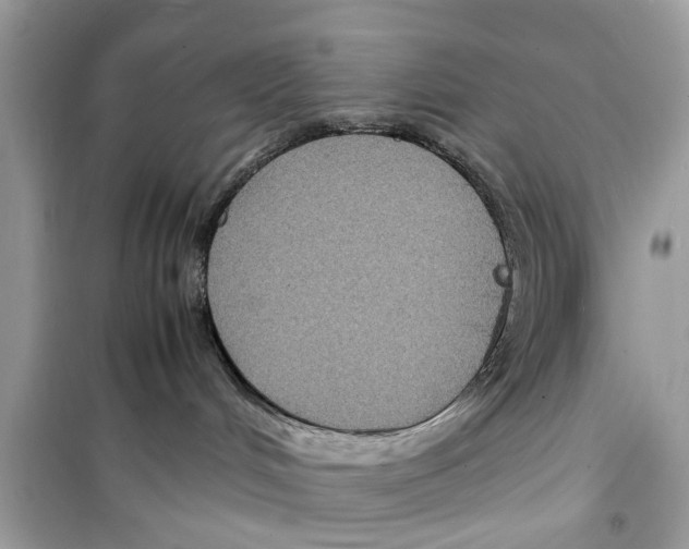X0000098220048200805221658