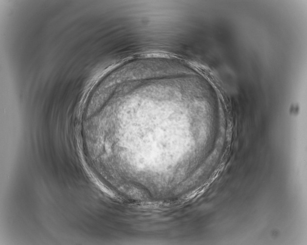 X0000098220049200805221657