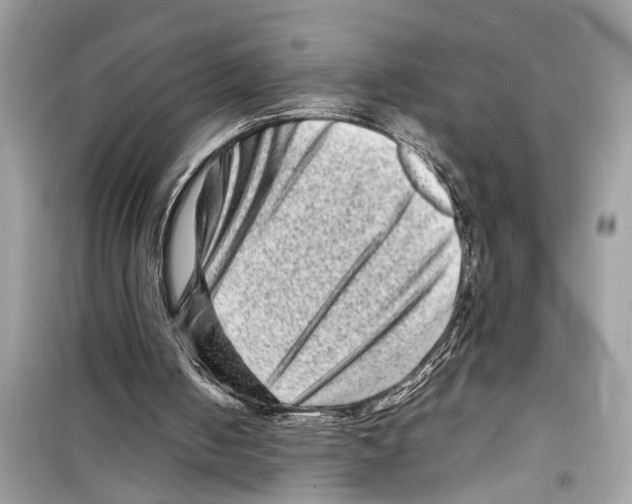 X0000098220050200805221657
