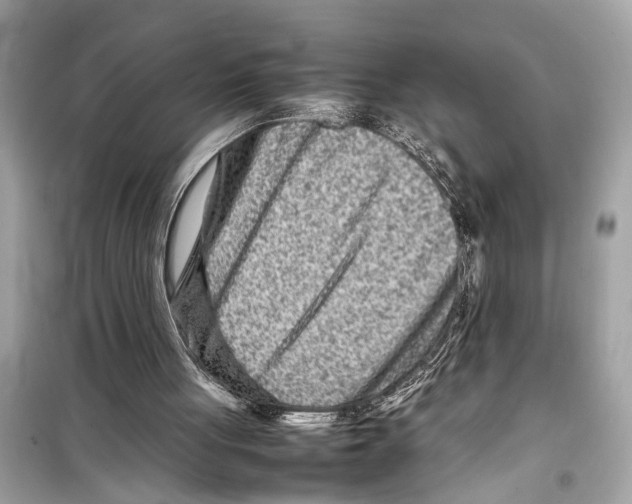 X0000098220051200805221657