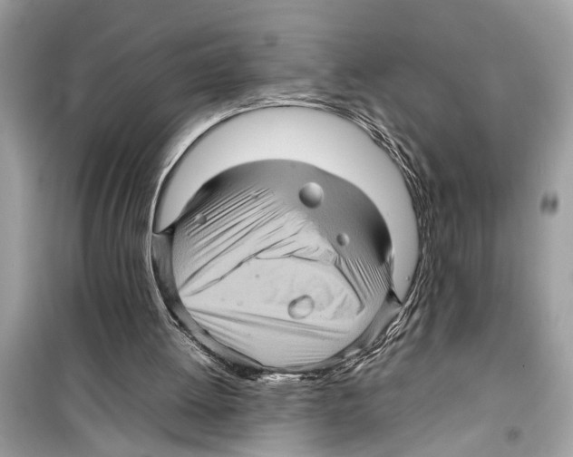 X0000098220052200805221657