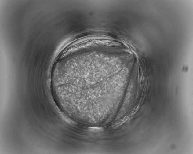 X0000098220053200805221657