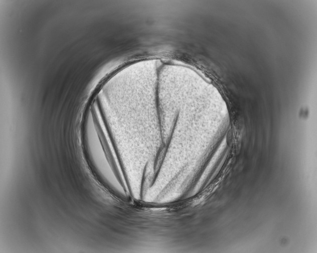 X0000098220054200805221657