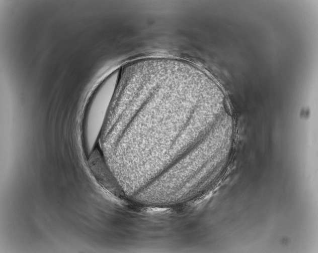 X0000098220055200805221657