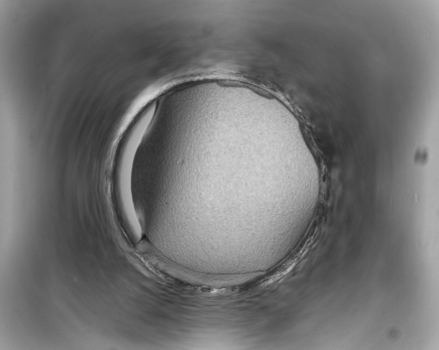 X0000098220056200805221657