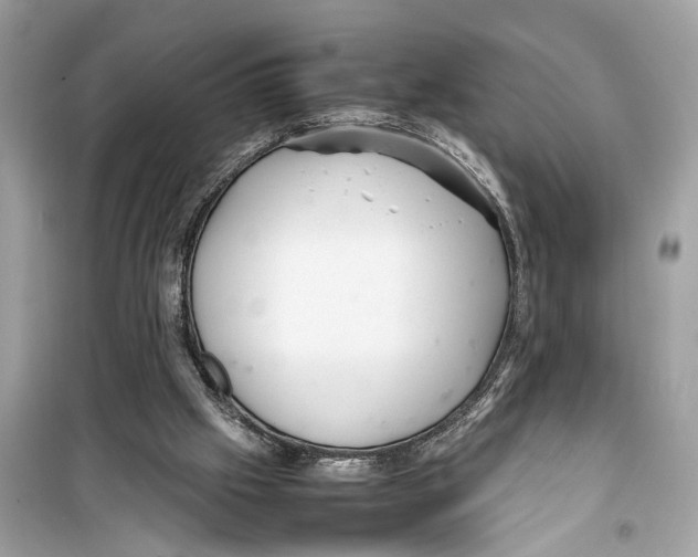 X0000098220057200805221657
