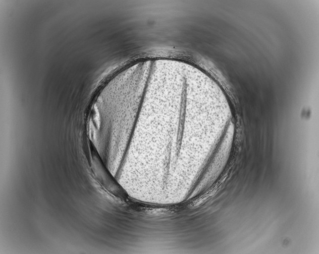 X0000098220058200805221657