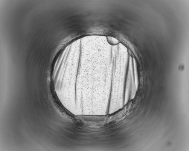 X0000098220059200805221657