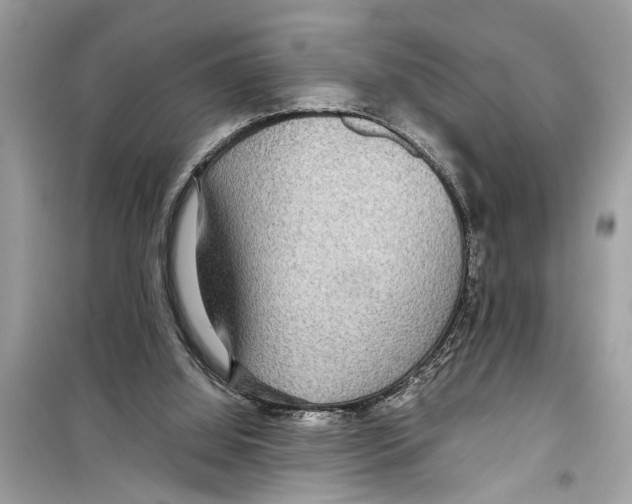 X0000098220060200805221657