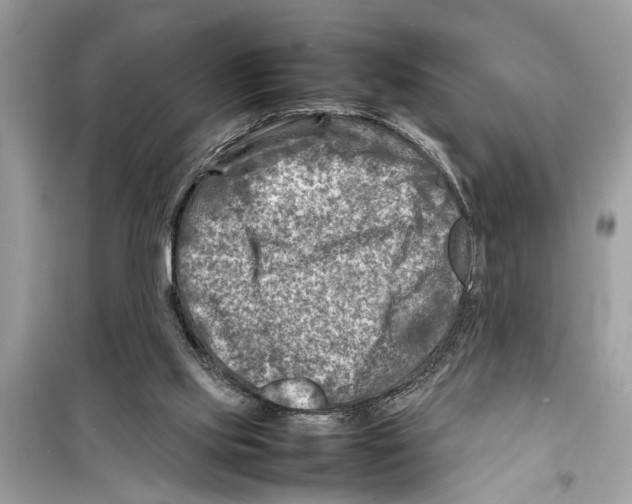 X0000098220061200805221658