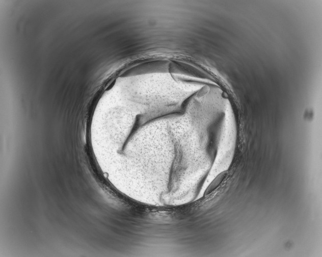 X0000098220062200805221658