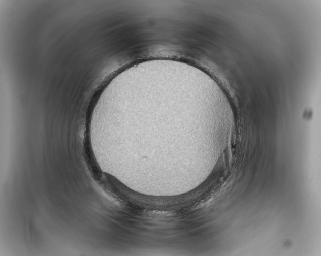 X0000098220063200805221658