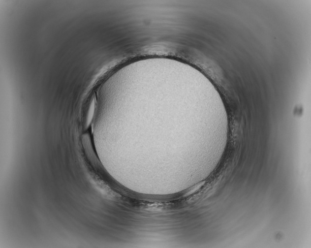 X0000098220064200805221658