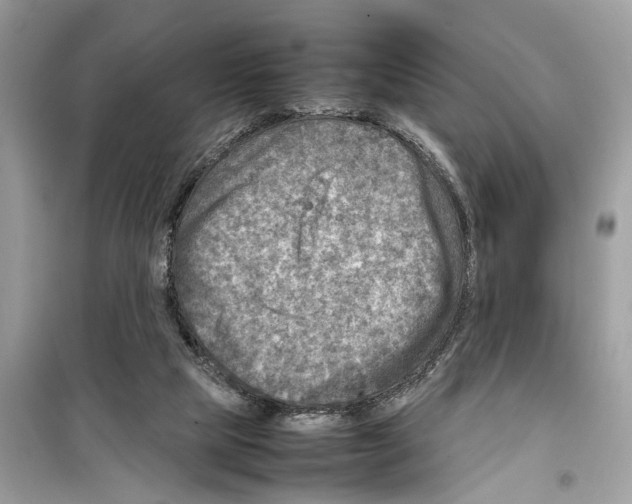 X0000098220065200805221658
