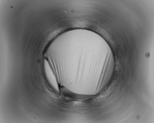 X0000098220068200805221658