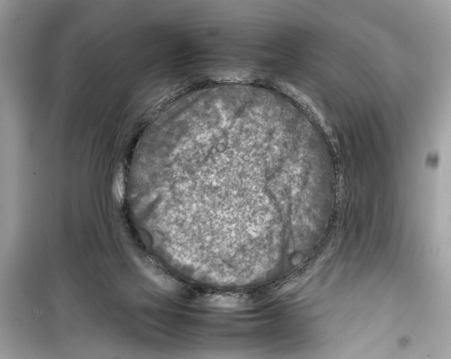 X0000098220069200805221658