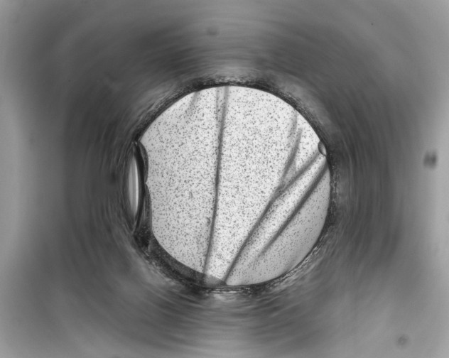 X0000098220070200805221658