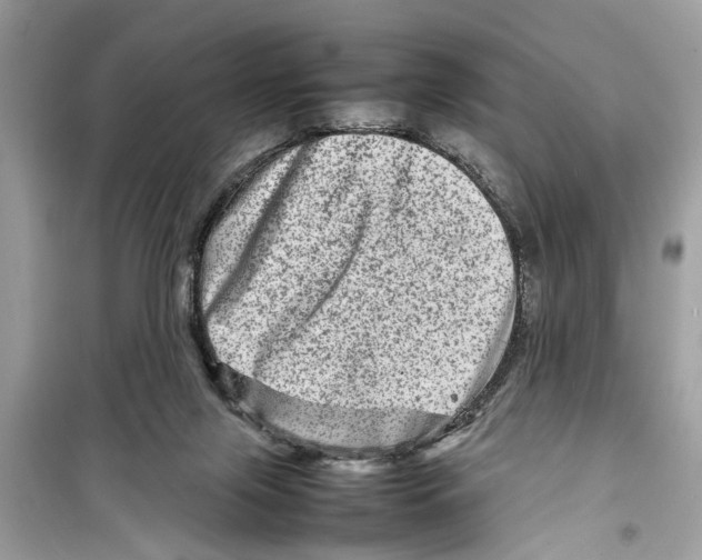 X0000098220071200805221658