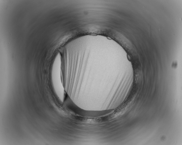 X0000098220072200805221658
