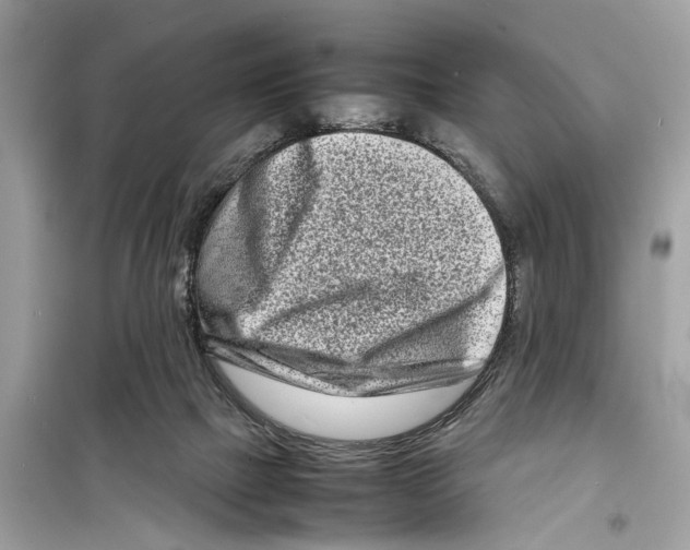 X0000098220073200805221658