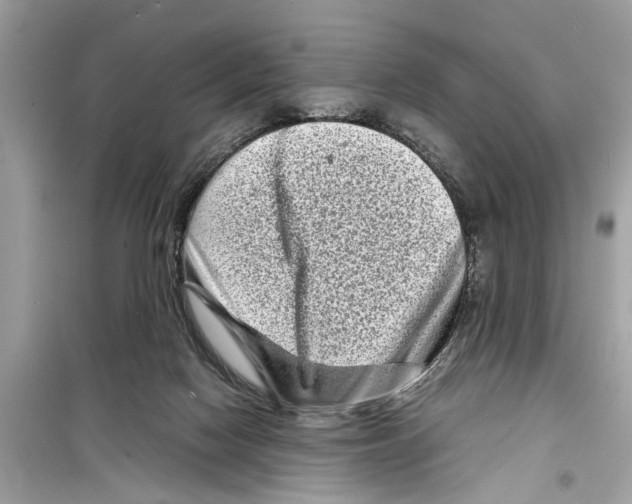 X0000098220074200805221658