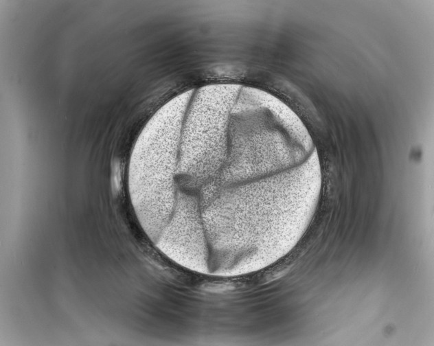 X0000098220075200805221658