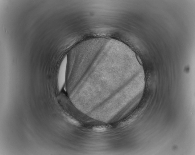 X0000098220076200805221658
