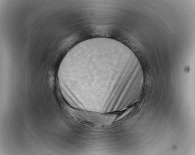 X0000098220080200805221658